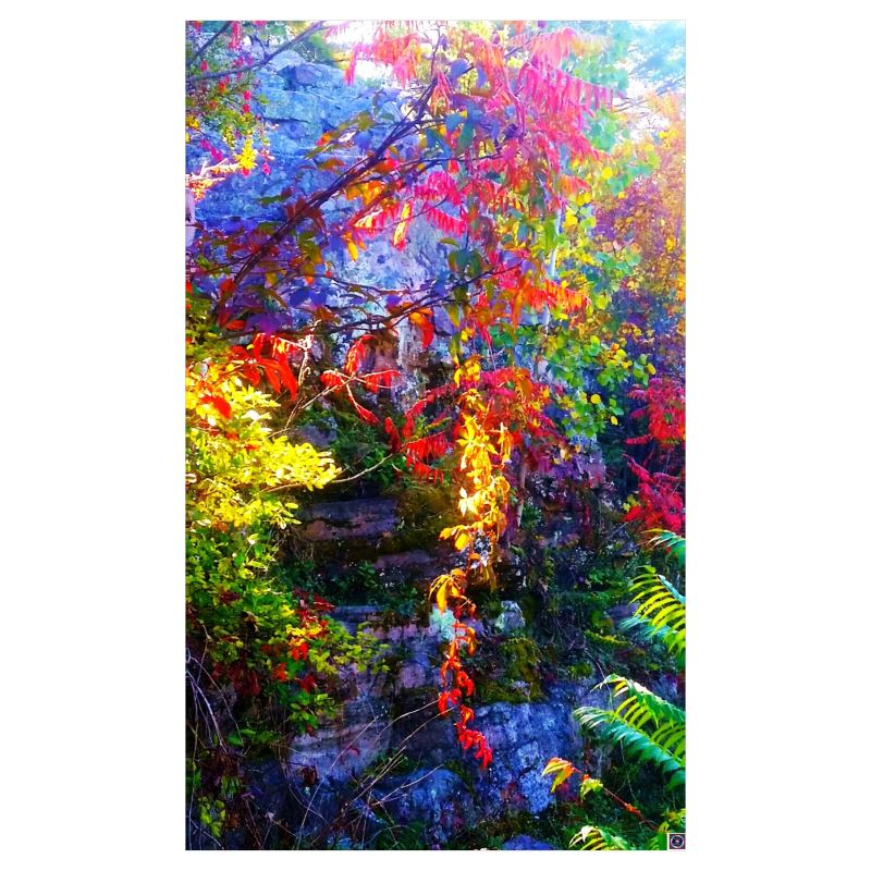 Curtains. Waterfall of Colors. Series "Foliage in VT"